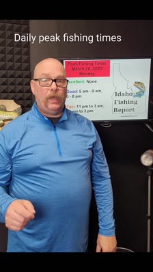 Daily peak fishing times 